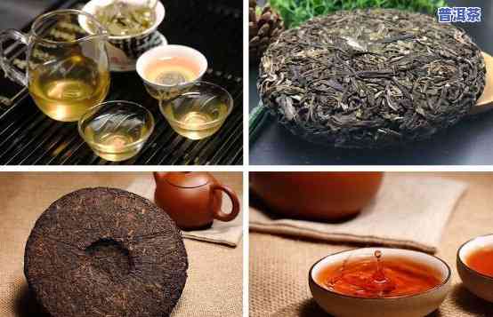 2018年糯米普洱茶-糯米普洱茶价格