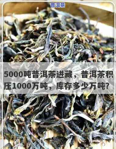 普洱茶库存量有多少斤-普洱茶库存量有多少斤的