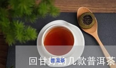 普洱回甘强烈的茶品种介绍与特点解析