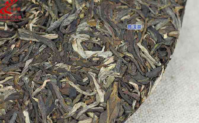 09年下关班章老树沱茶：价格与口感全面解析