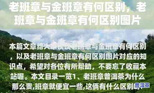 老班章和金班章的区别，揭示老班章与金班章的差异：一次深入的比较