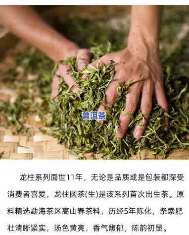 龙柱茶叶价格，探寻龙柱茶叶的价格：一份详尽的市场分析报告