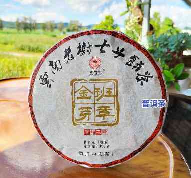 奉和古茶老班章金条-老班章古树金芽老茶头升级组