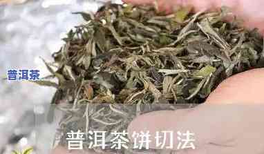 普洱茶饼怎样切片？详解切片工具与技巧