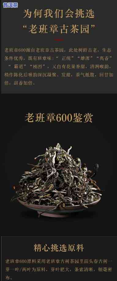 老班章500年古树茶，探寻古韵：品鉴老班章500年古树茶的独特魅力