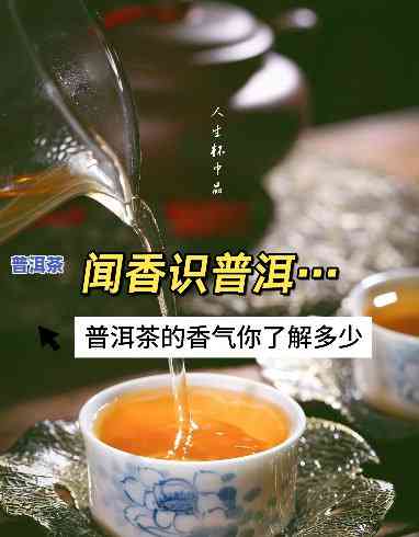 深入解析：普洱茶香气不足的起因及其作用因素