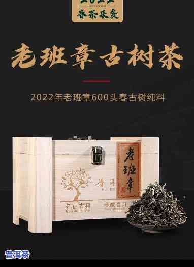 老班章500年古树-老班章500年古树茶