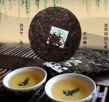 为什么要多喝普洱茶，探究普洱茶的健康益处：为什么多喝普洱茶是值得推荐的？