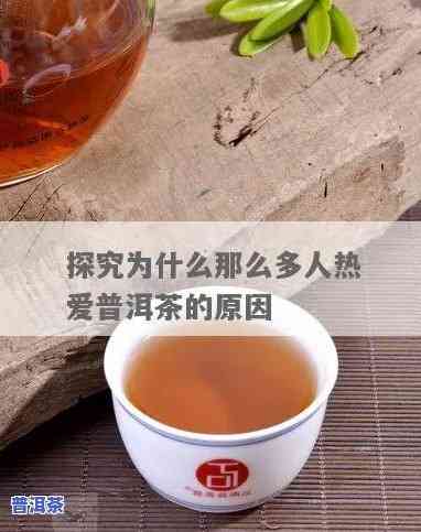 探究普洱茶火爆的起因：为什么普洱茶如此受追捧？