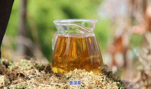 普洱茶怎么增甜度高呢-普洱茶怎么增甜度高呢视频