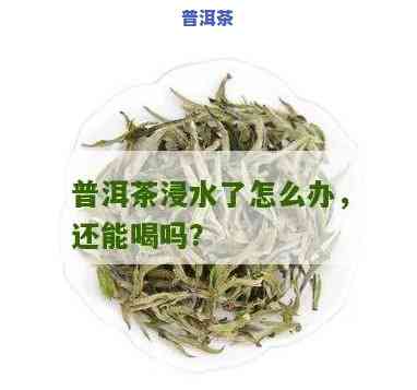 普洱茶被水泡了怎么办？作用口感还是能继续饮用？详解解决方案