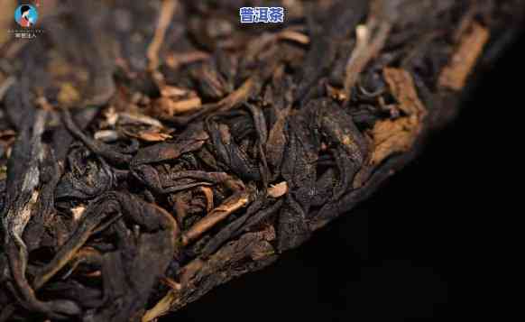 怎样计算浙江普洱茶的年份？