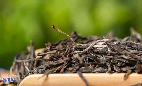 普洱茶鲜叶出多少干茶-普洱茶鲜叶出多少干茶好