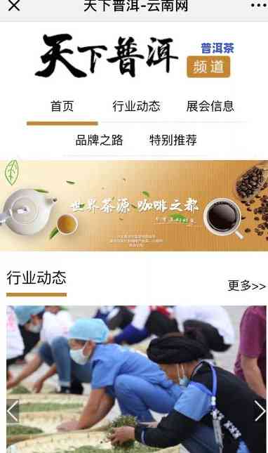 普洱茶TV：全球华人的视频分享平台