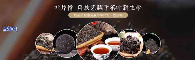 普洱茶厂家，探究普洱茶厂家：品质与口碑的双重保障