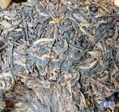 2006生肖狗普洱茶-狗年生肖普洱茶价格