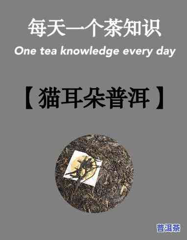 猫耳朵普洱茶干茶叶子-猫耳朵普洱茶叶底