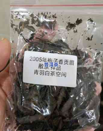 普洱茶神秘礼包价格全揭秘：多少钱一箱？