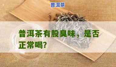 喝普洱茶前嘴巴有异味正常吗，嘴巴有异味是不是正常？喝普洱茶前需要熟悉的口腔疑问