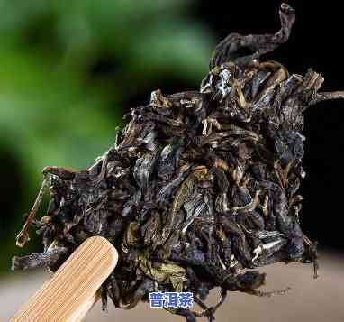 普洱茶比较甘甜的茶叶有哪些，寻找甘甜口感的普洱茶？这些茶叶不容错过！