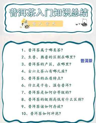 普洱茶的冷知识大全：你不知道的小常识与冷门知识