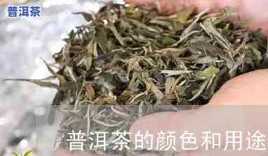 普洱茶的茶叶有多少种颜色，探究普洱茶茶叶的色彩世界：熟悉其丰富的颜色种类