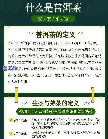 普洱茶讲堂，探索普洱茶的魅力：普洱茶讲堂