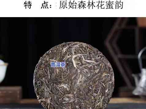 易武弯弓花仙谷普洱茶-2021易武弯弓古树茶价格表