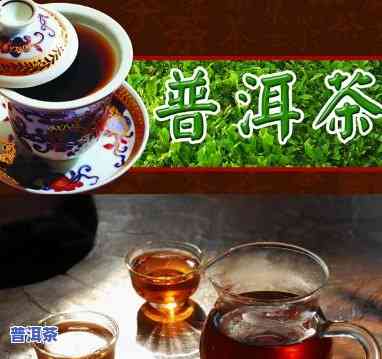 普洱茶的主要内容包含-普洱茶的主要内容包含哪些