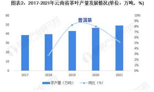 云南普洱茶2022年产量公布：具体数字待查