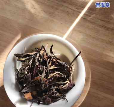 三月头采普洱茶好不好-三月头采普洱茶好不好