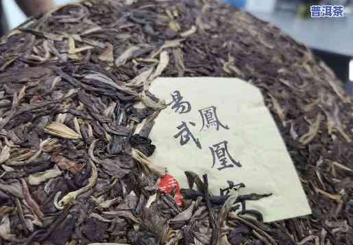 最新！普洱凤凰窝茶2019年价格全揭秘