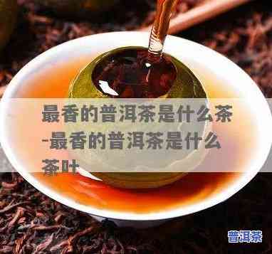 什么普洱茶香味浓，探讨什么样的普洱茶香味最浓郁？