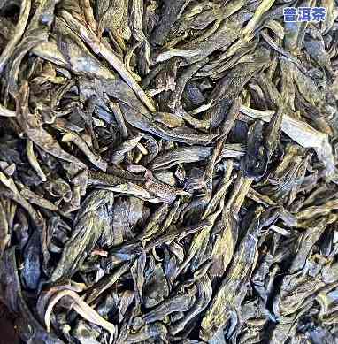 雨林老班章熟茶：探索2019年珍贵的雨林古树茶