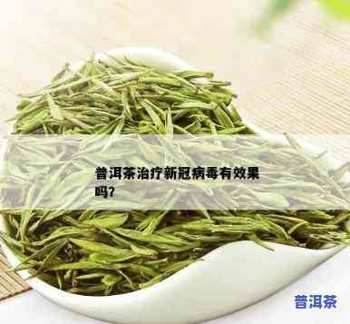 普洱茶对新冠肺炎有疗效吗，普洱茶：对抗新冠肺炎的新期望？