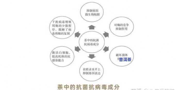 普洱茶是不是能有效对抗新型冠状病？