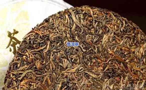 北京哪里卖普洱茶的多啊，寻找好茶？北京哪里买普洱茶最集中？