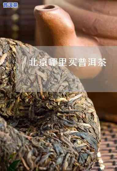 北京哪里卖普洱茶的多-北京哪里卖普洱茶的多一点