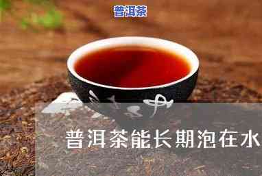 普洱茶能否长时间浸泡？起因解析