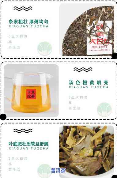 老班章大白菜茶价格：3000元/斤，熟悉最全行情！