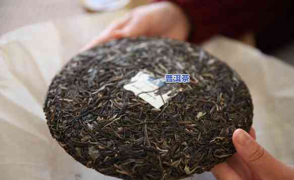 万茶汇普洱茶产品介绍-万茶源普洱茶怎么样