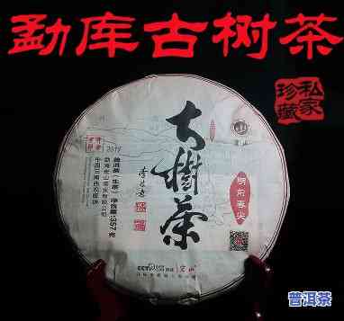 大青树普洱茶价格，探究大青树普洱茶的价格：一份全面的市场分析