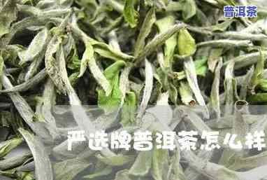 琼姐严选普洱茶怎么样，琼姐严选普洱茶：品质怎样？客户的真实评价解析