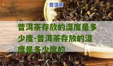 存放普洱茶的湿度与温度：理想范围是多少？