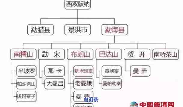 老班章：哪个山头、哪个茶区？详解源头与归属