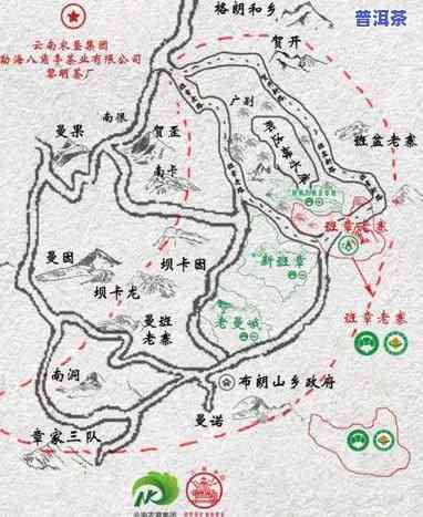 探究老班章古茶园：面积、与其他茶园的关系