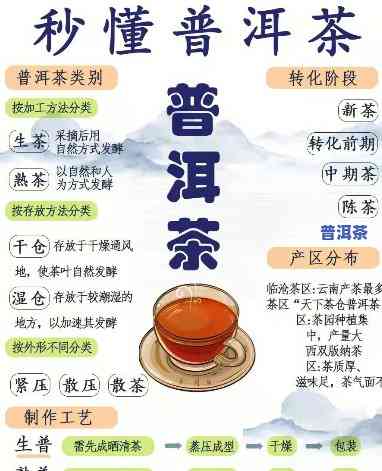 普洱茶小知识点，探索普洱茶的世界：小知识点大揭秘