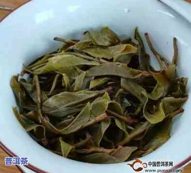 猫耳朵普洱茶属于哪个片区，探寻猫耳朵普洱茶的产地：它属于哪个茶区？