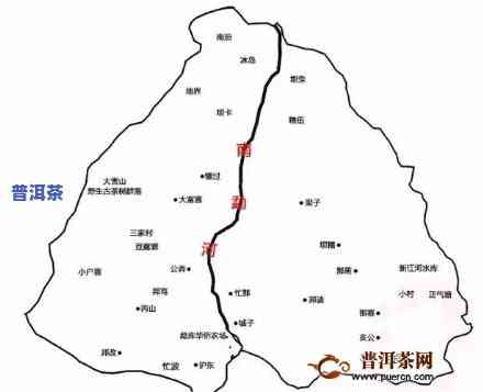 老班章古茶树王：68万元的价格揭示其王者地位