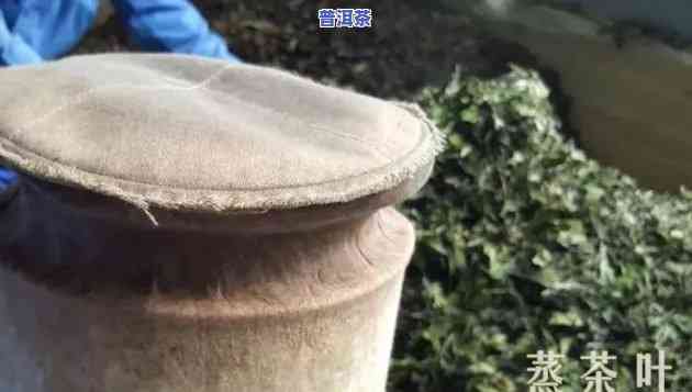 普洱茶压饼过程详解：步骤、图片与图解全收录